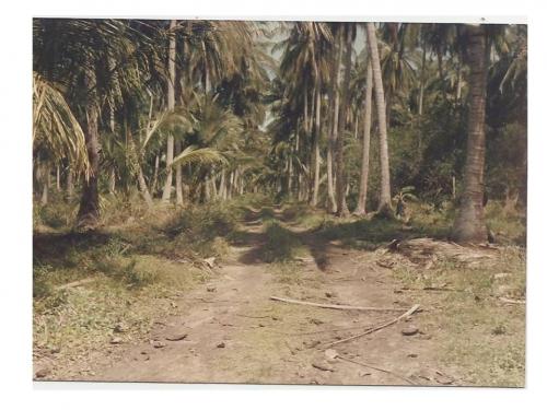 TERRENO EN PUERTO CEIBA, TABASCO