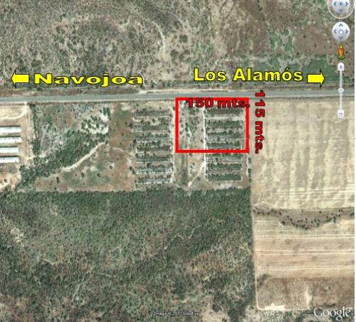 En Venta. Terrenos Carretera Navojoa-Los Álamos Km. 8.2, Navojoa, Sonora.