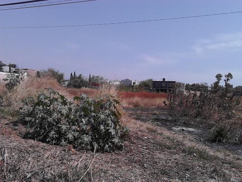Rento o vendo terreno comercial sobre carretera federal México-Cuautla
