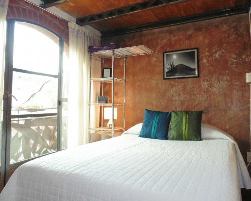 Loft al Sur del DF amuelado y sin aval, aceptamos mascotas.