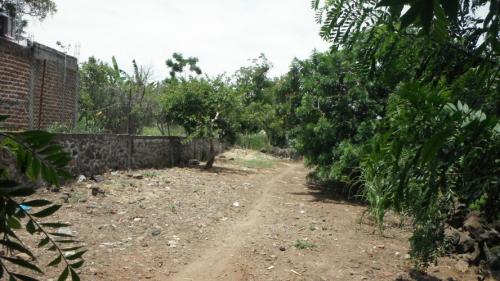terreno en venta