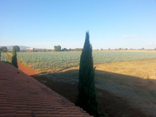 Rancho El Laurel Atotonilco