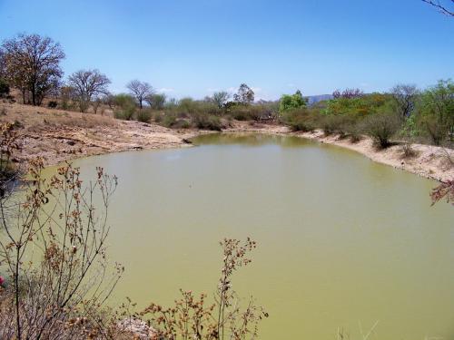 Buen Rancho Ganadero de 687 has abundante agua