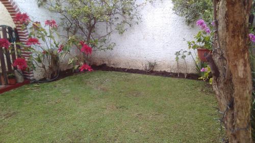 Casa MUY GRANDE Paseos del Sol, jardín, 4 recámaras