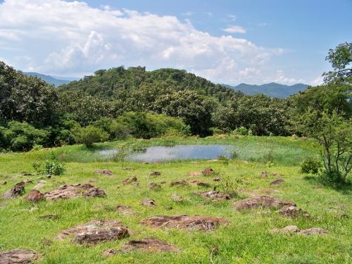 El Mejor terreno para su casa de campo con abundante Agua