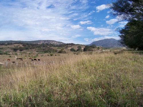 Oportunidad de Inversión terreno de 4,000 has San Isidro Mazatepec