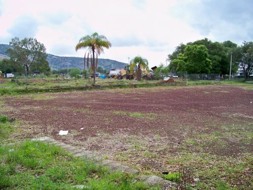 Terreno comercial 6has en esquina frente TEC Santa Anita