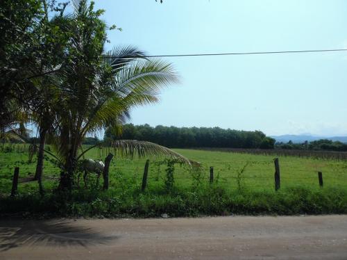 VENDO TERRENO 36,000 MTS PARA DESARROLLO PUERTO VALLARTA