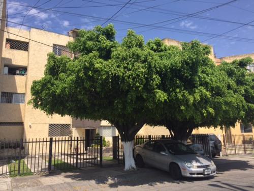 JORGE DIPP REYES #5890 DEP. 4     PASEOS DEL SOL 1° SECCION  