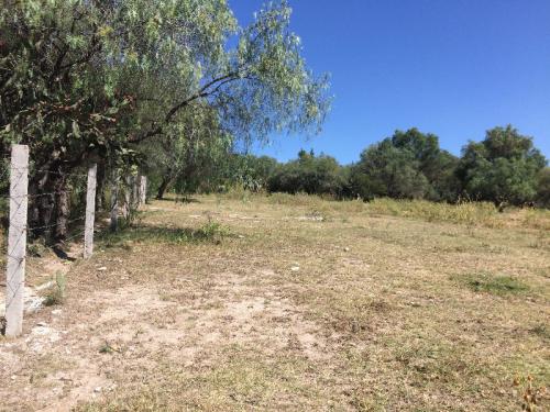 VENDO TERRENO DE UNA HECTAREA A $ 150.00 POR M2