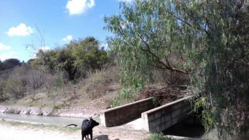 VENDO TERRENO PARA DESARROLLADOR AL SUR CON AGUA POTABLE