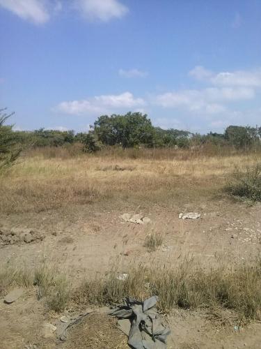 Terreno para Bodega en el Venadillo
