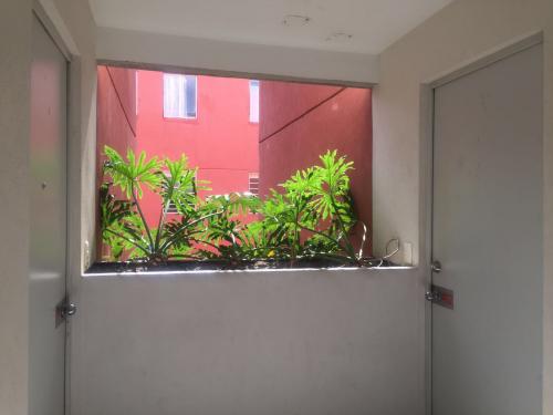 CALIDAD DE VIDA INMOBILIARIA S.A DE C.V PONE EN VENTA