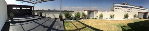 Departamento en Renta en la Condesa 