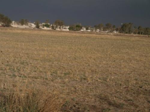Terreno Teoloyucan, Zona Ind. El Trébol, Edo. Mex.