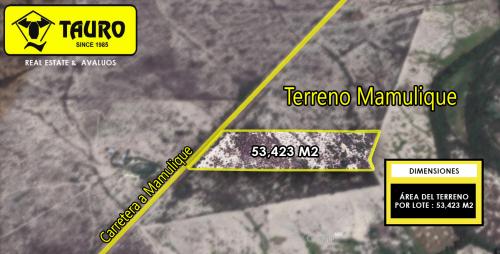 5 Hectáreas de Terreno en Mamulique 