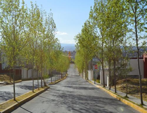 el lago residencial, su mejor opcion para vivir