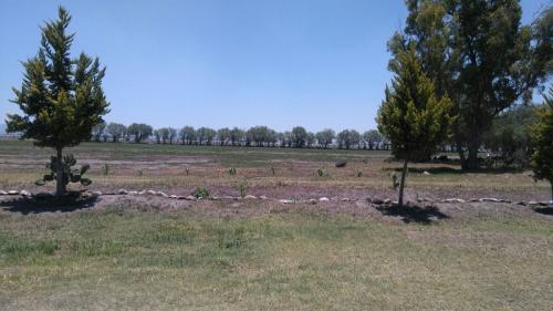 TERRENO PLANO EN LIMITES DE ZUMPANGO Y TIZAYUCA