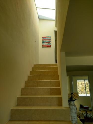 Arquitectura elegante, conservadora y ecológica