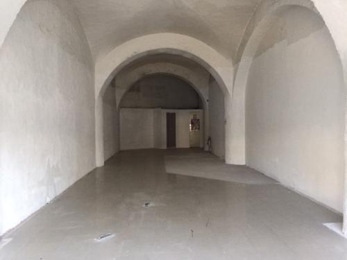 Local en avenida Insurgentes Plaza el Castillo