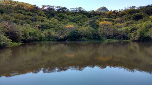 Rancho Ganadero de 687 has con abundante Agua Tesistan