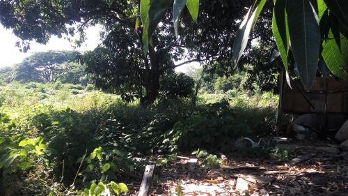 LOTE EN PRECIO DE REMATE