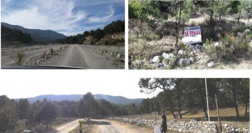 Cinco lotes de terreno campestre en Fracc. Pino Real en Arteaga Coahuila.