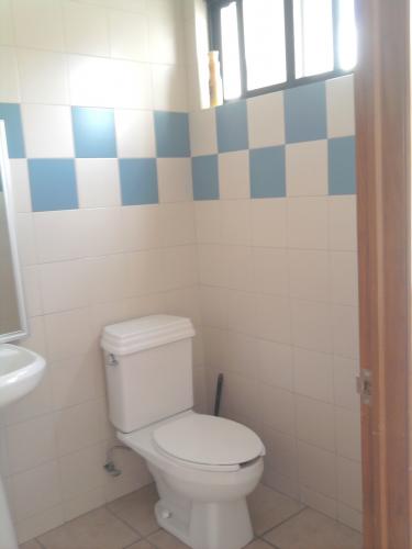 Renta de loft en Jurica