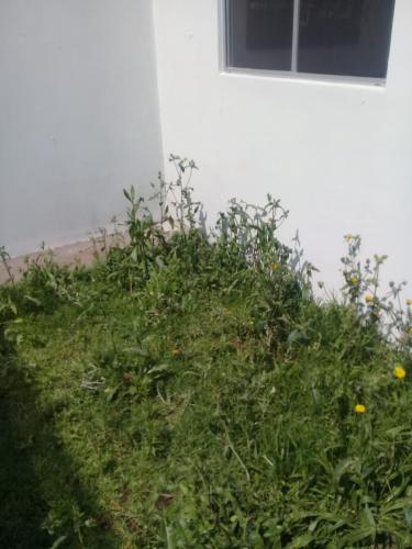 La casa  que siempre soñaste 