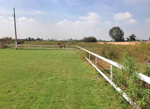 Terreno Venta / San José del Quince / El Salto