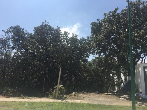 EL PALOMAR SENDERO DEL CONDOR LOTE #192 MANZANA 2 SECCION BOSQUES TLAJOMULCO DE ZUÑIGA