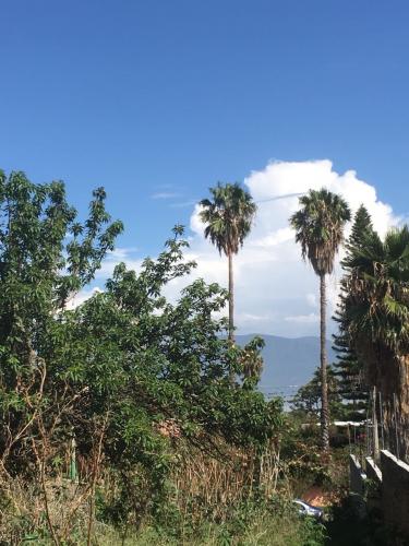 Terreno en Venta en San Juan Cosala