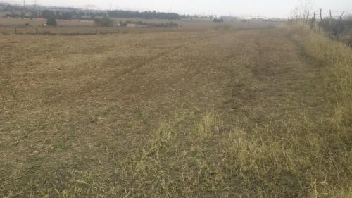 2 hectareas listas para hacer un pequeño rancho en Nextipac zona de alta plusvalía