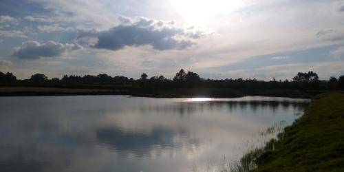 Terreno de 14 Hectáreas en Amealco Rumbo a Huimilpan Querétaro, $80m2 Oportunidad.