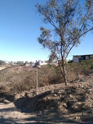 TERRENO EN VENTA EN COLINAS DEL SOL