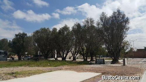 La Firma Real State Vende Terreno Residencial en Los Olivos al Poniente de la Ciudad