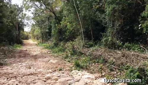 Invierte en la Riviera Maya. Terreno de 1000m2 en Tulum