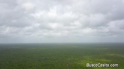 TERRENO PARA DESARROLLO EN PLAYA DEL CARMEN