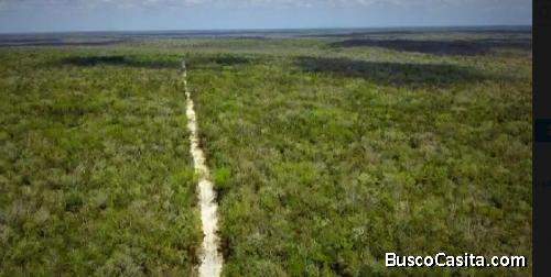 OPORTUNIDAD DE INVERSIÓN