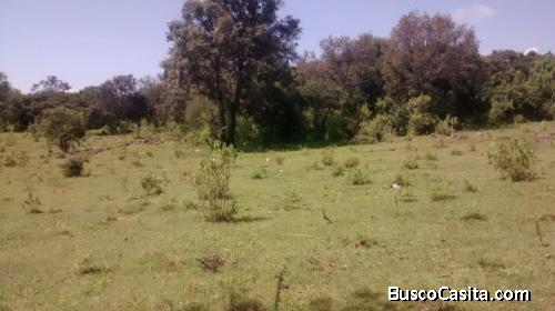 Vendo 107 hectáreas en Cointzio Morelia 