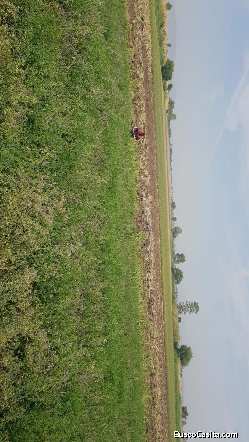 3 hectáreas para siembra en Alvaro Obregon con agua 