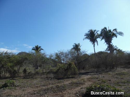 vendo lote en jojutla morelos