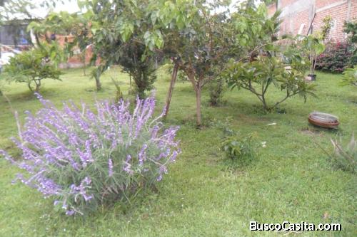 habitacion amueblada con cocineta  baño entrada privada lomas de comanjila