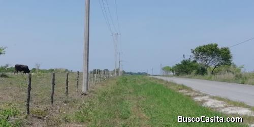 TERRENO A ORILLA DE CARRETERA 