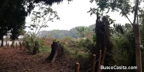 TERRENO EN EL TEJAR ZONA CON ALTA PLUSVALIA CONECTA CON PUENTE MORENO