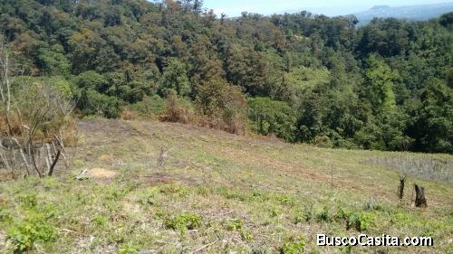 Vendo terreno rustico