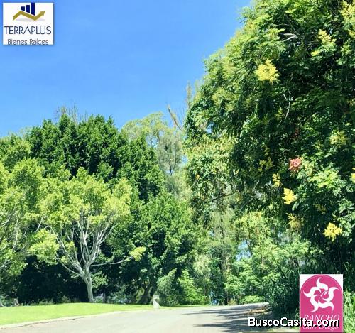 Tres Terrenos en Venta en Rancho San Diego