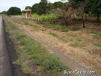 Vendo Terreno Campestre