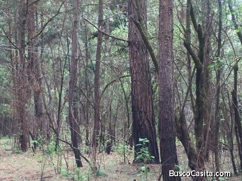 Vendo terreno en Valle de bravo