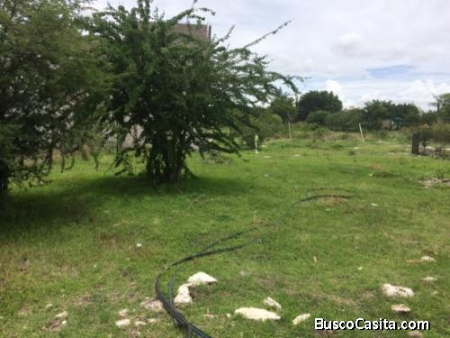 TERRENO EN VENTA EN LA BIZNAGA 
